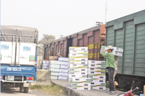 van-chuyen-duong-sat-04