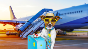 van-chuyen-pin-bang-duong-hang-khong-02